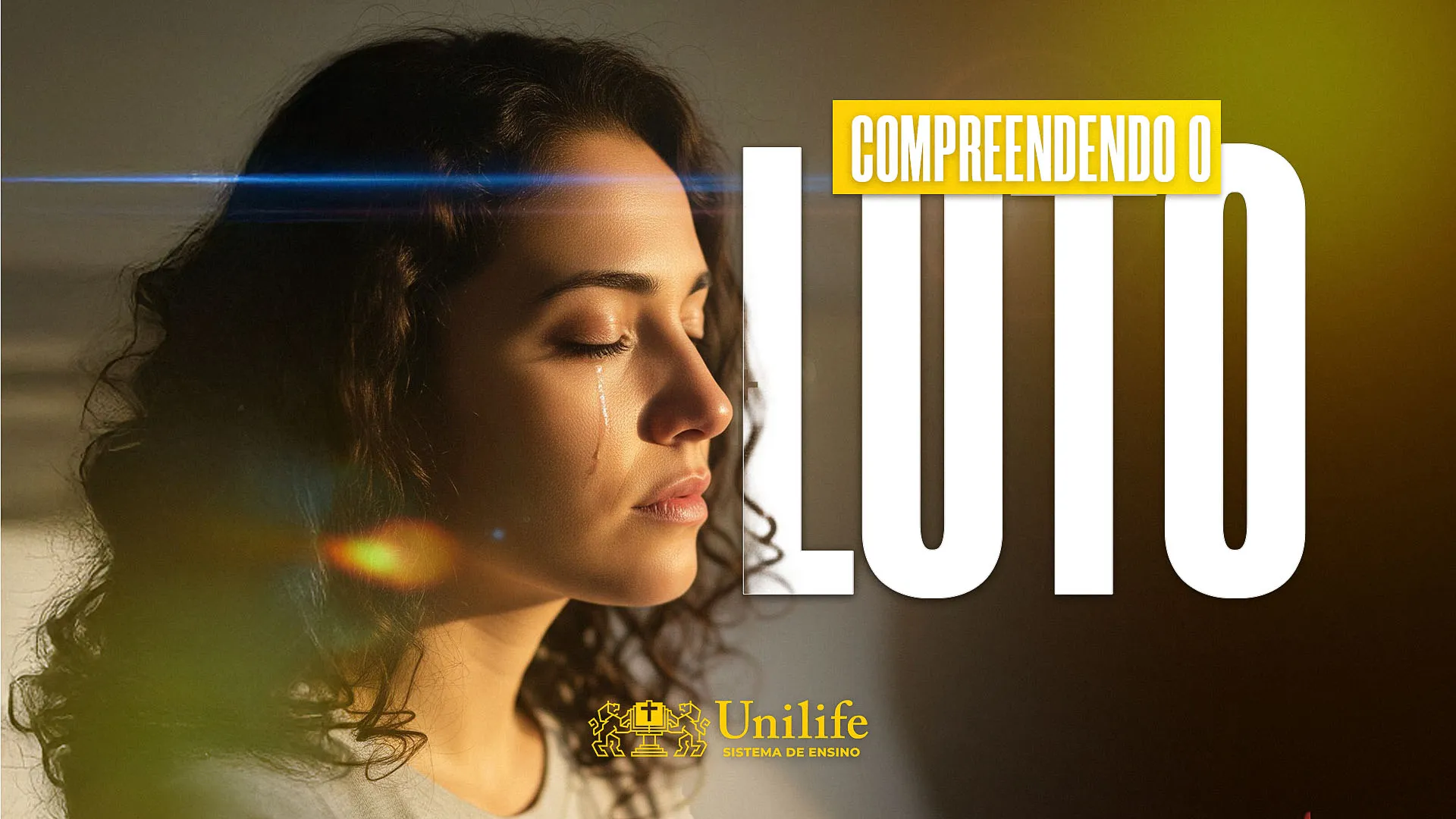 Compreendendo o luto &agrave; luz da logoterapia: aspectos te&oacute;ricos e pr&aacute;ticos